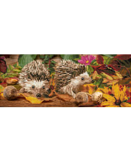 DD HEDGEHOG SCRAMBLE TIMANTTITYÖ Main Image