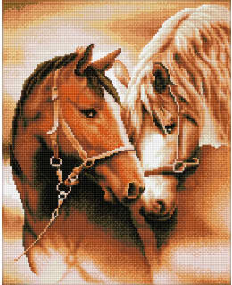 DD TOGETHERNESS TIMANTTITYÖ Main Image