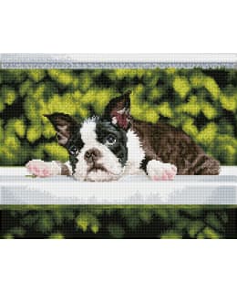 DD BOSTON BLUES TIMANTTITYÖ Main Image