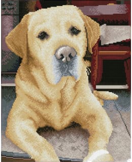 DD KING TIMANTTITYÖ Main Image