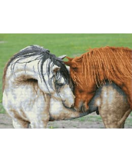 DD COURTSHIP TIMANTTITYÖ Main Image