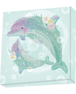 DD DOTZ BOX DOLPHIN DANCE TIMANTTITYÖ Main Image