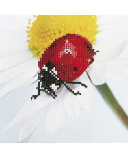 DD KIT DAISY LADY TIMANTTITYÖ Main Image