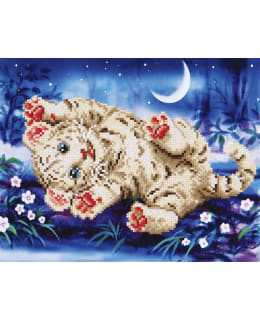 DD KIT BABY TIGER ROLY TIMANTTITYÖ Main Image