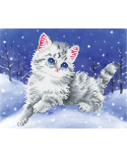 DD KITTEN IN THE SNOW TIMANTTITYÖ Main Image