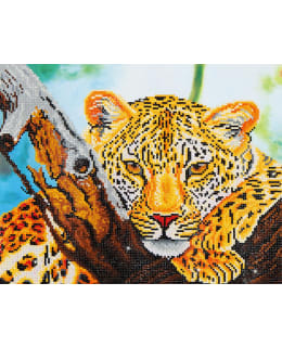 DD LEOPARD LOOK TIMANTTITYÖ Main Image