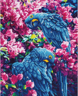 DD BLUE PARROTS TIMANTTITYÖ Main Image