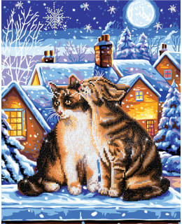 DD STARS WHISKERS TIMANTTITYÖ Main Image