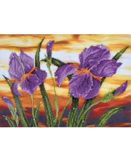 DD IRIS SUNSETTIMANTTITYÖ Main Image