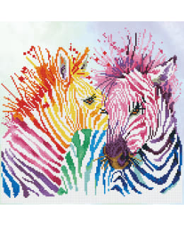 DD RAINBOW ZEBRAS TIMANTTITYÖ Main Image