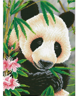 DD PANDA PRINCE TIMANTTITYÖ Main Image