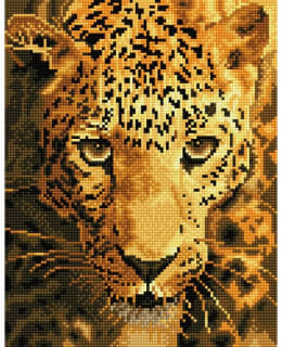 DD JAGUAR PROWL TIMANTTITYÖ Main Image