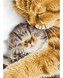 DD TENDER MOMENT TIMANTTITYÖ Main Image