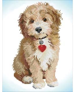 DD LOVELY BOY TIMANTTITYÖ Main Image