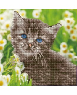 DD KITTEN TIMANTTITYÖ Main Image