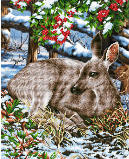 DD QUIET MOMENT TIMANTTITYÖ Main Image