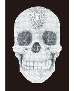 DD CRYSTAL SKULL TIMANTTITYÖ Main Image