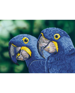 DD BLUE HYACINTH MACAWS TIMANTTITYÖ Main Image