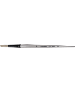 GRADUATE BRISTLE ROUND 10 LH Main Image