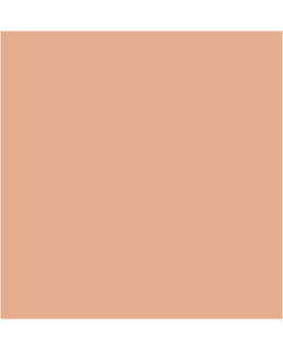 RIMMEL HIDE THE BLEMISH 103 PEITEPUIKKO Main Image