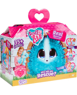 Scrufaluvs My Real Rescue abandoned pet Main Image