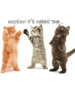 PLENTY KISSANPENNUT ALUSTA Main Image