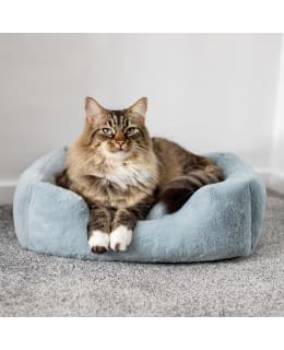 ROSEWOOD S 46X36CM KOIRANPETI Main Image