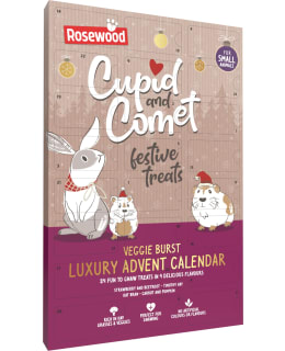 ROSEWOOD 120G RODENT CHRISTMAS CALENDAR Main Image