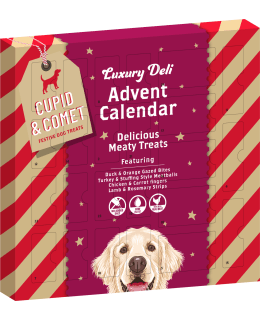 ROSEWOOD KOIRAN LUXUS ADVENTTIKALENTERI Main Image