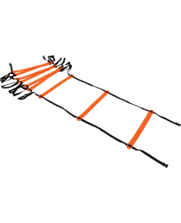 PRECISION TRAINING LADDER Main Image