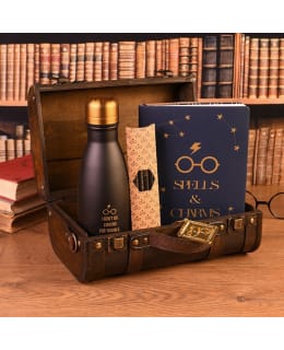 HARRY POTTER TROUBLE FINDS ME LAHJAPAKK. Main Image