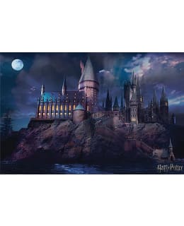 Harry Potter Hogwarts juliste 61x91,5cm Main Image