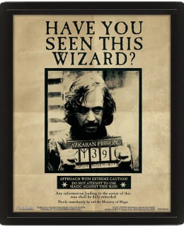 WALLART HARRY POTTER POTTER SIRIUS 3D Main Image