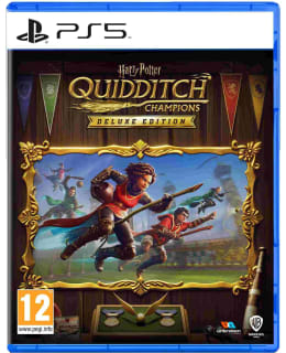 HARRY POTTER: QUIDDITCH CHAMPS DELUXE PS Main Image