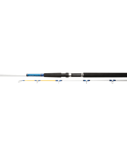 Daiwa Jupiter Trolling rod Main Image