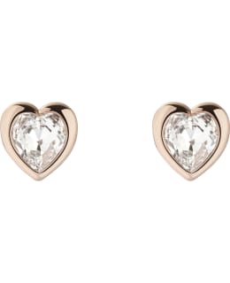 TED BAKER TBJ1654-24-02 STUD EARRING Main Image