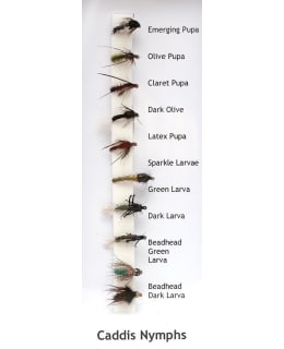 DAIWA CADDIS NYMPHS  PERHOLAJIT. Main Image
