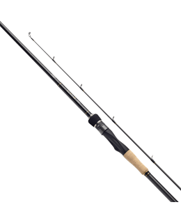 DAIWA LUVIAS 1002MLRS 2PC 5-25G AVOVAPA Main Image