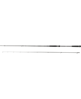 DAIWA MORETHAN 9'3" 2PC 7-35G AVOVAPA Main Image