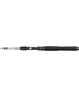 DAIWA SILVERCAST 6 TELE 10-30G AVOVAPA Main Image