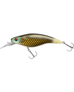 DAIWA PX FLAT BAIT 150MR UV BRAXEN Main Image