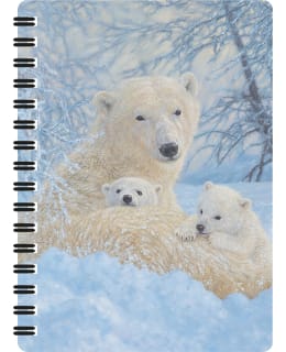 DELUXEBASE 3D NORTHERN FAM KIERREVIHKO Main Image