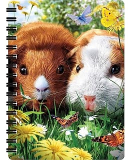 3D LIVELIFE JOTTERS GUINEA PIGS Main Image
