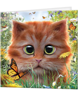 DELUXEBASE 3D GINGER KITTEN POSTIKORTTI Main Image