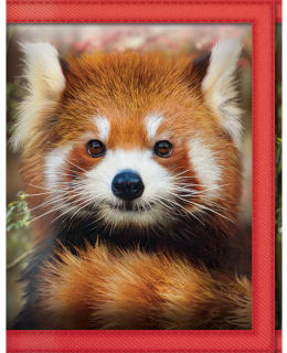 DELUXEBASE 3D RED PANDA LOMPAKKO Main Image