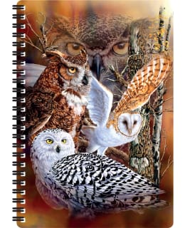 HO 3D LIVELIFE OWL WOODS KIERREVIHKO Main Image
