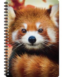 DELUXEBASE 3D BABY RED PANDA KIERREVIHKO Main Image