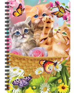 DELUXEBASE 3D KITTEN FUN KIERREVIHKO Main Image