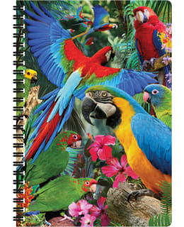 DELUXEBASE 3D PARROT KIERREVIHKO Main Image