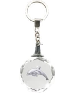 HO CRYSTAL DOLPHIN AVAIMENPERÄ Main Image